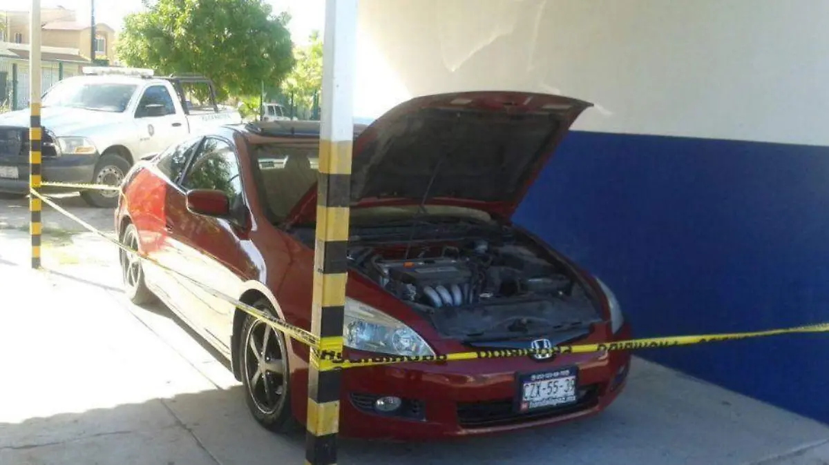 auto placas