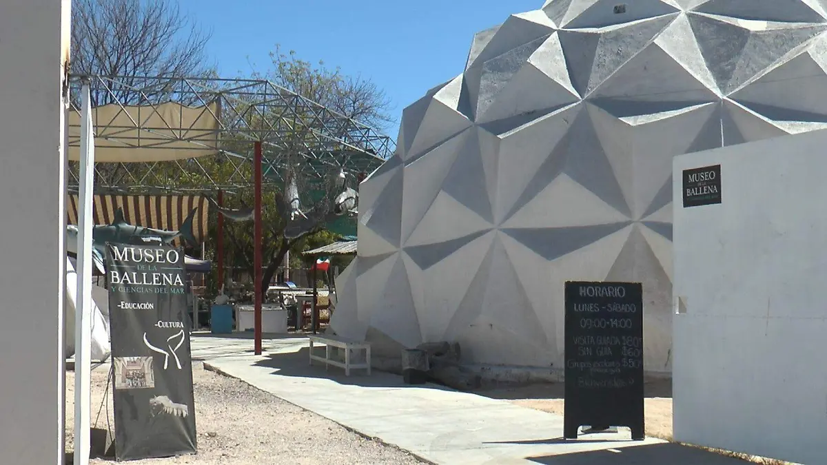 Robos Museo de la Ballena