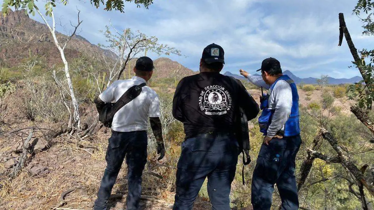 Encuentran a extraviado en Loreto sin vida