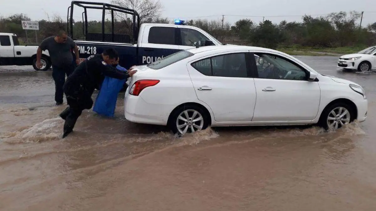 Foto - 2021-09-10T181852.916