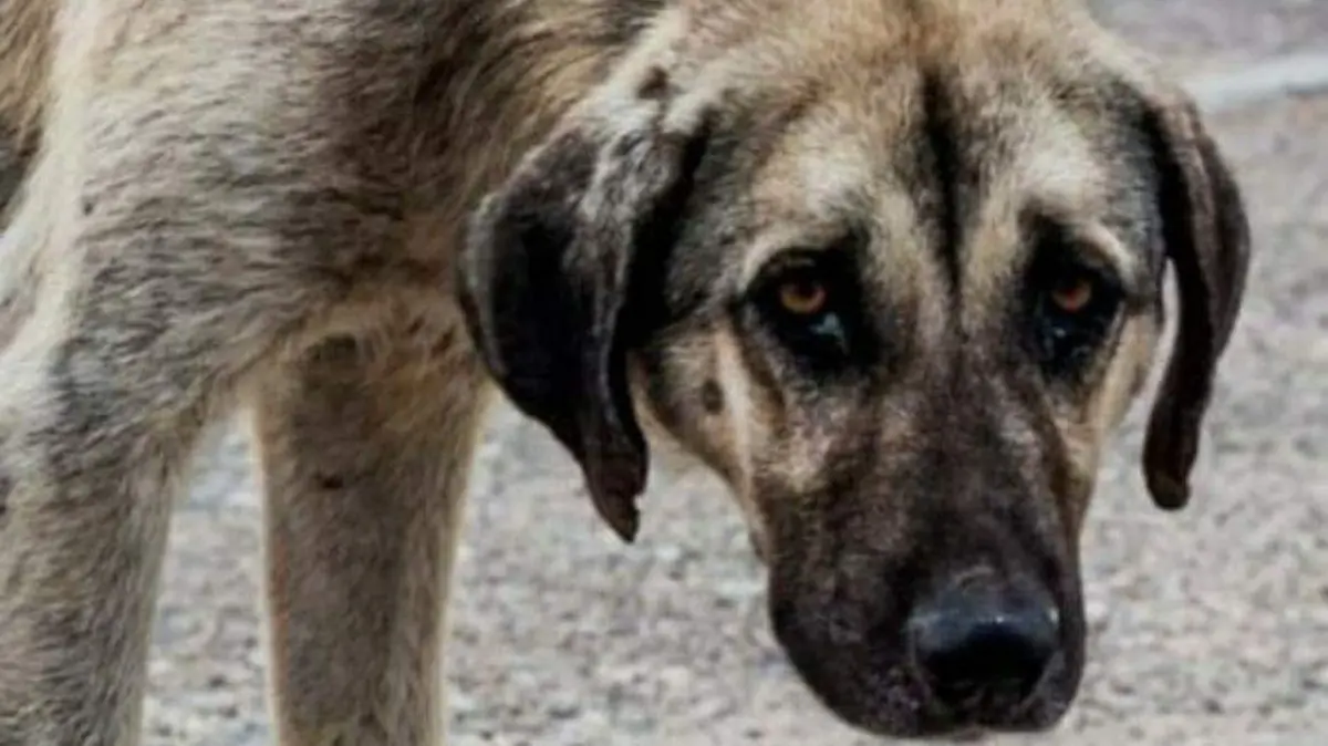 Foto - 2021-10-02T210308.172