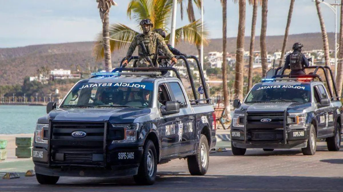 Operativo Fin de Año