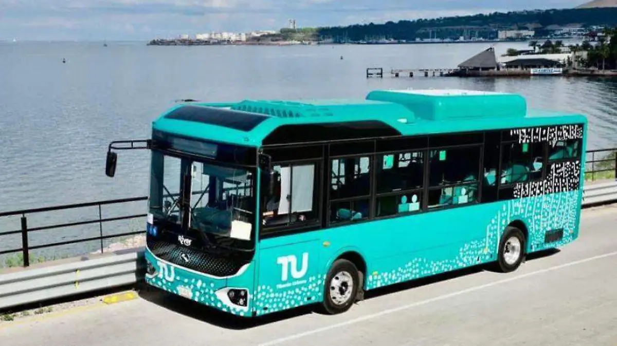 Tiburon urbano nuevo camion en La Paz 1