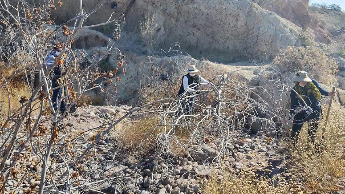 Busqueda personas desaparecidas