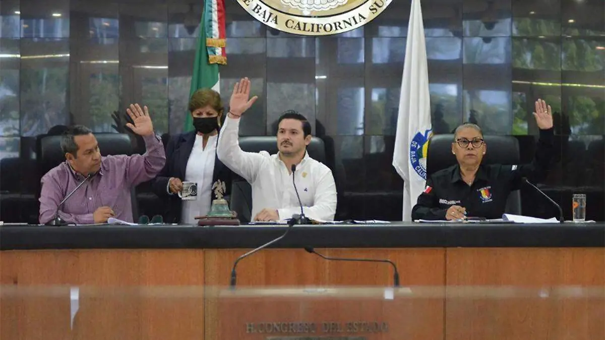 diputados locales