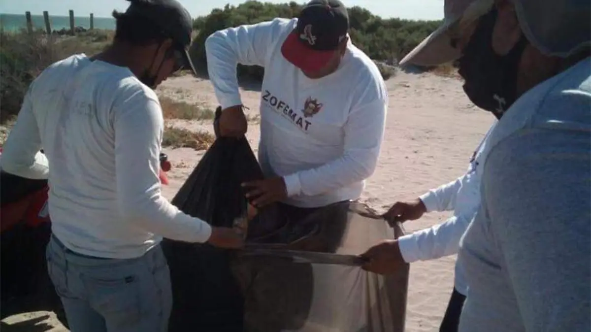 Basura playa zofemat 01