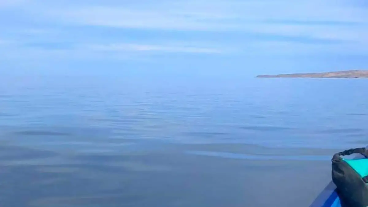 Golfo de California ANP