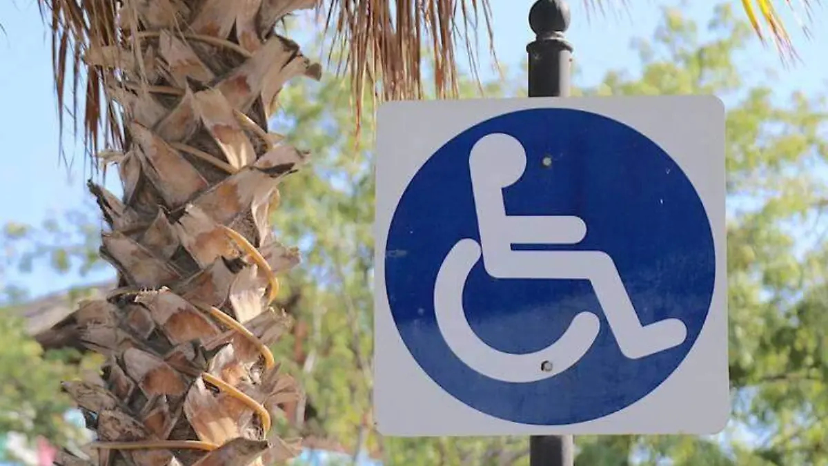 Persona Discapacidad auto