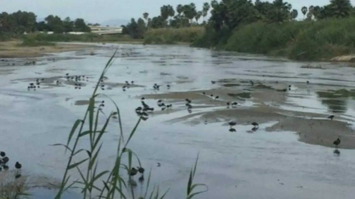 Multa por danho al Estero 