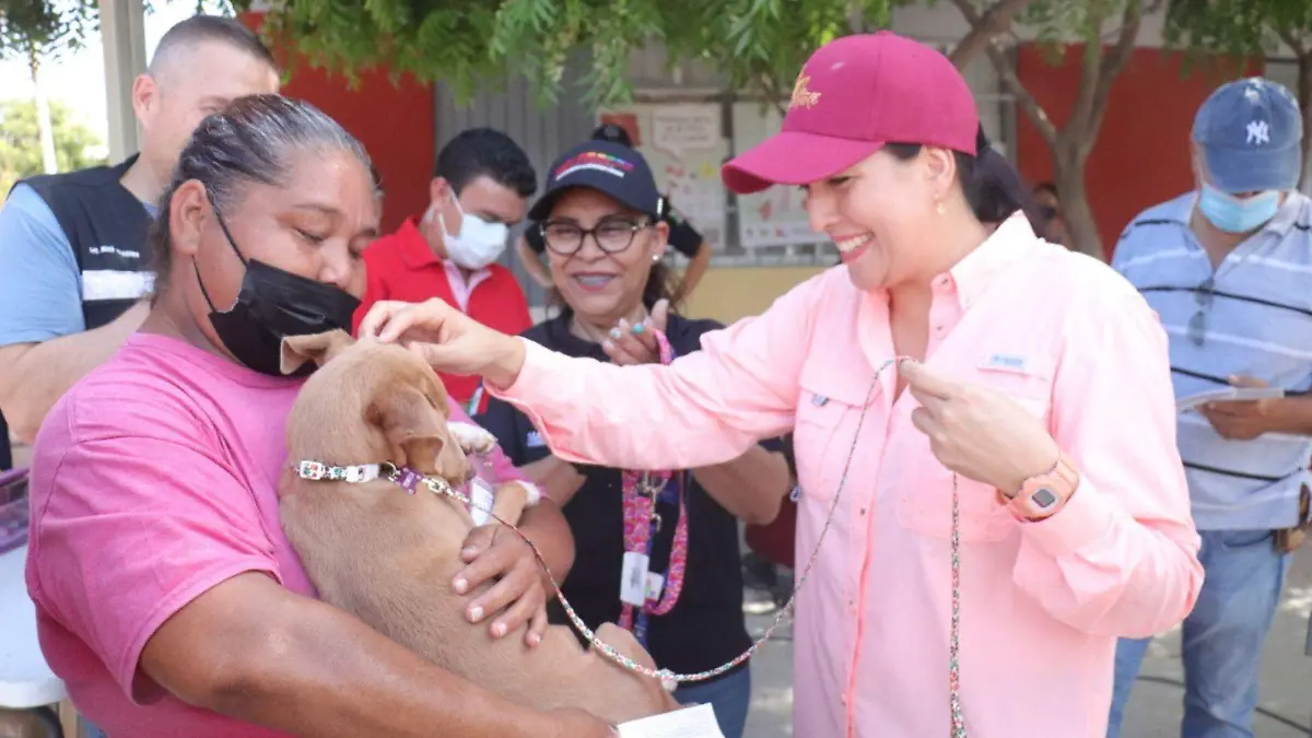 Campaña esterilización Melitón Albañez