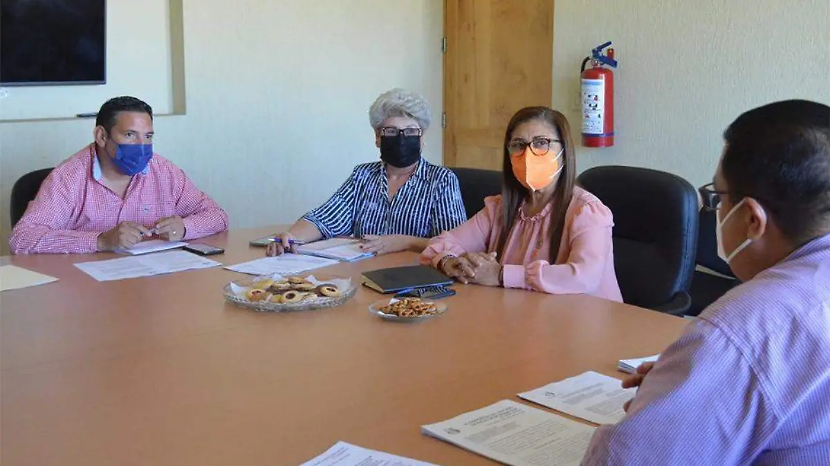 Comision Salud del Congreso