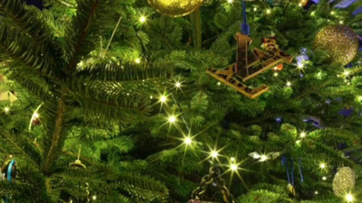 Arbol Navidad Caro 1