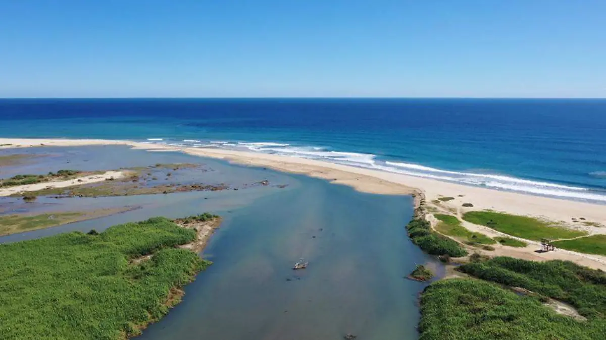 Estero san jose muerte peces
