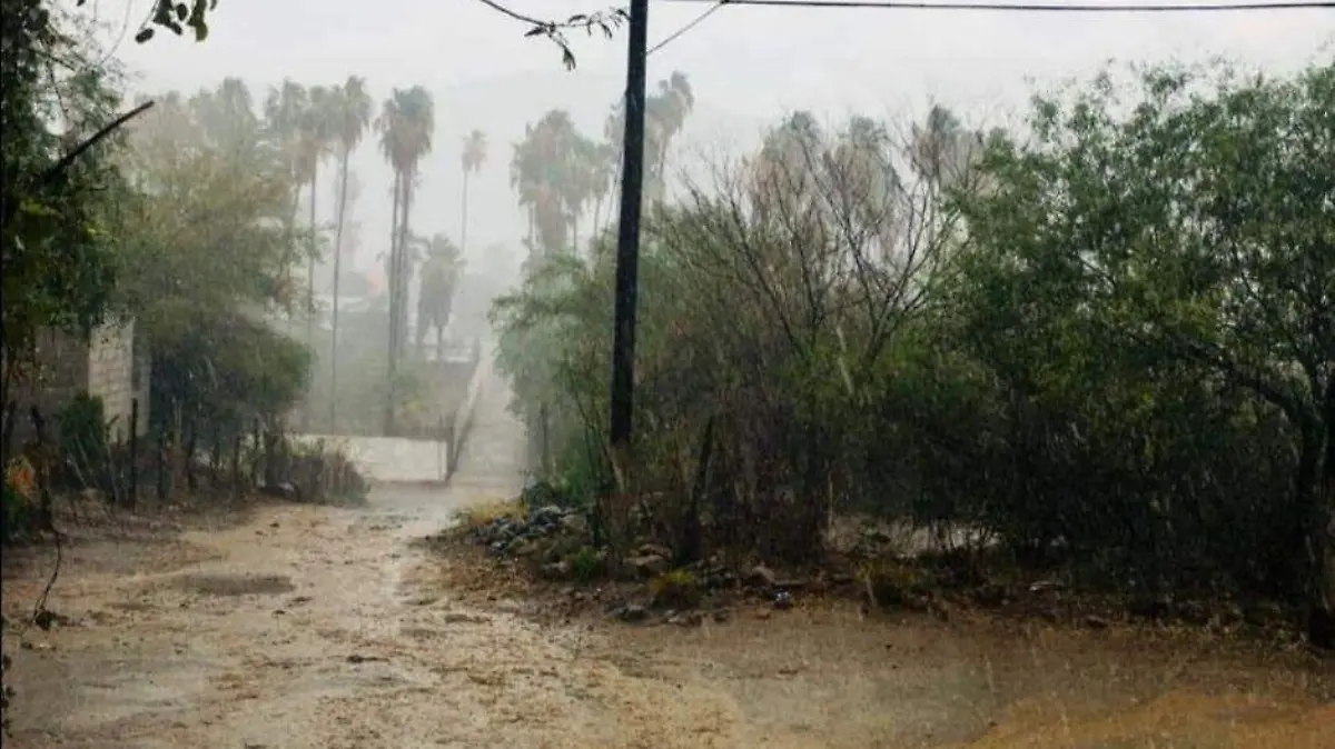 Lluvias BCS