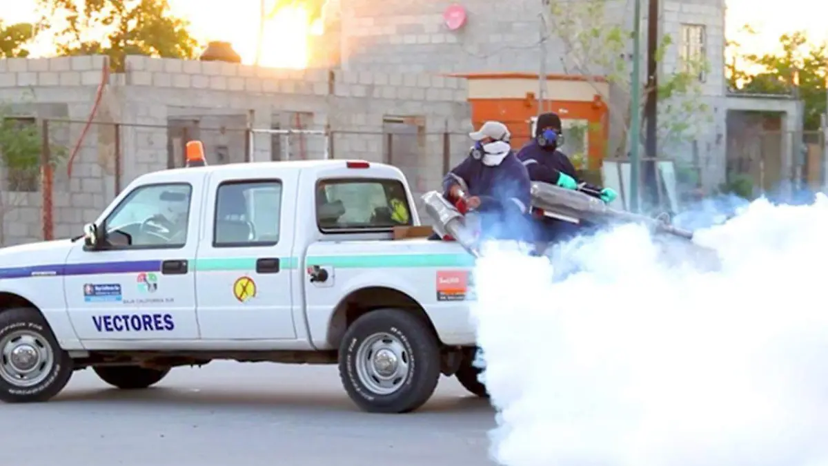 fumigar mosco dengue