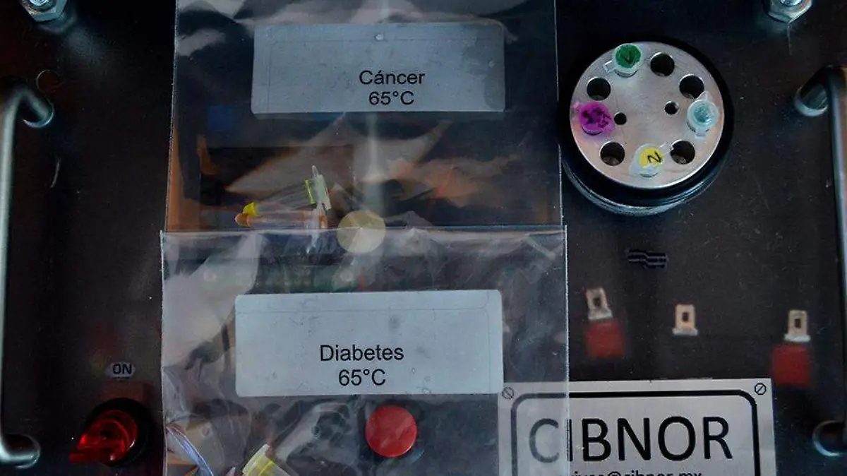 CIBNOR  kits  diagnóstico