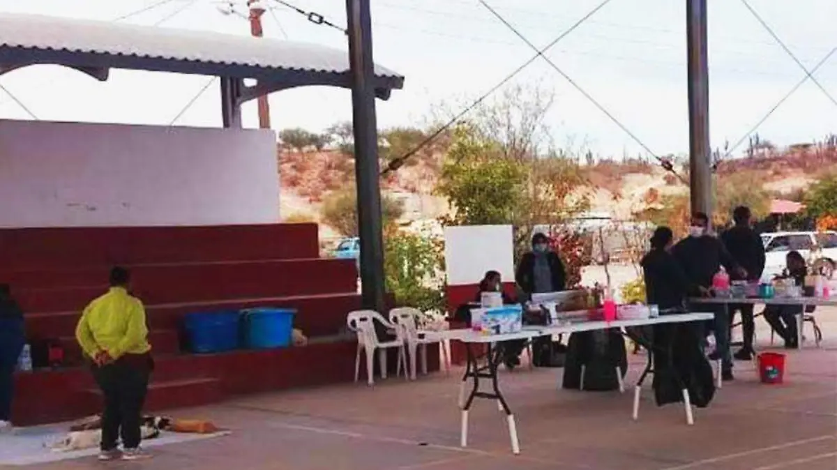 Esterilizacion mascotas cemac