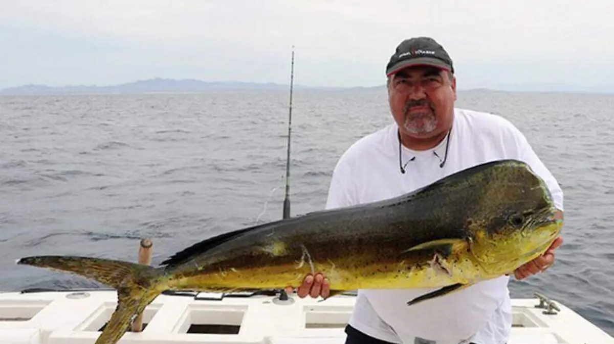 Dorado Carlos Van Wormer