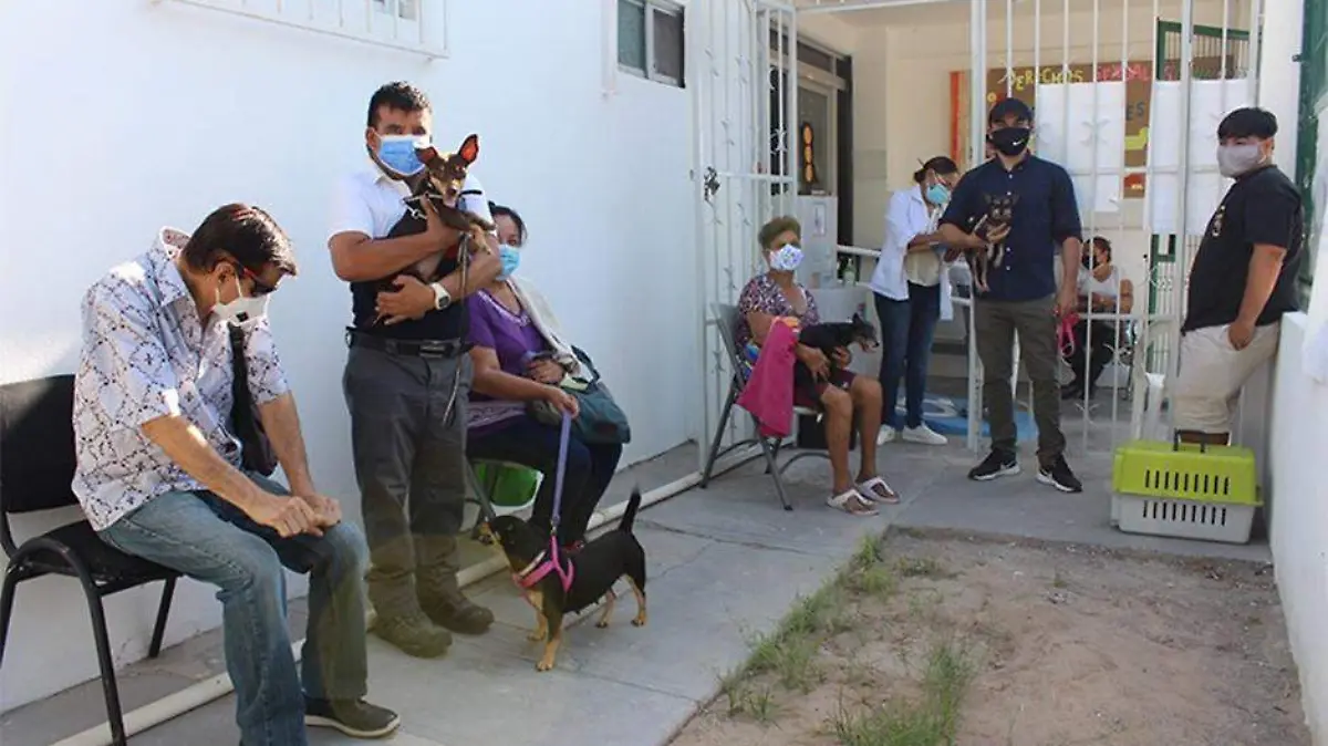 Modulo fijo esterilizacion gratuita La Paz