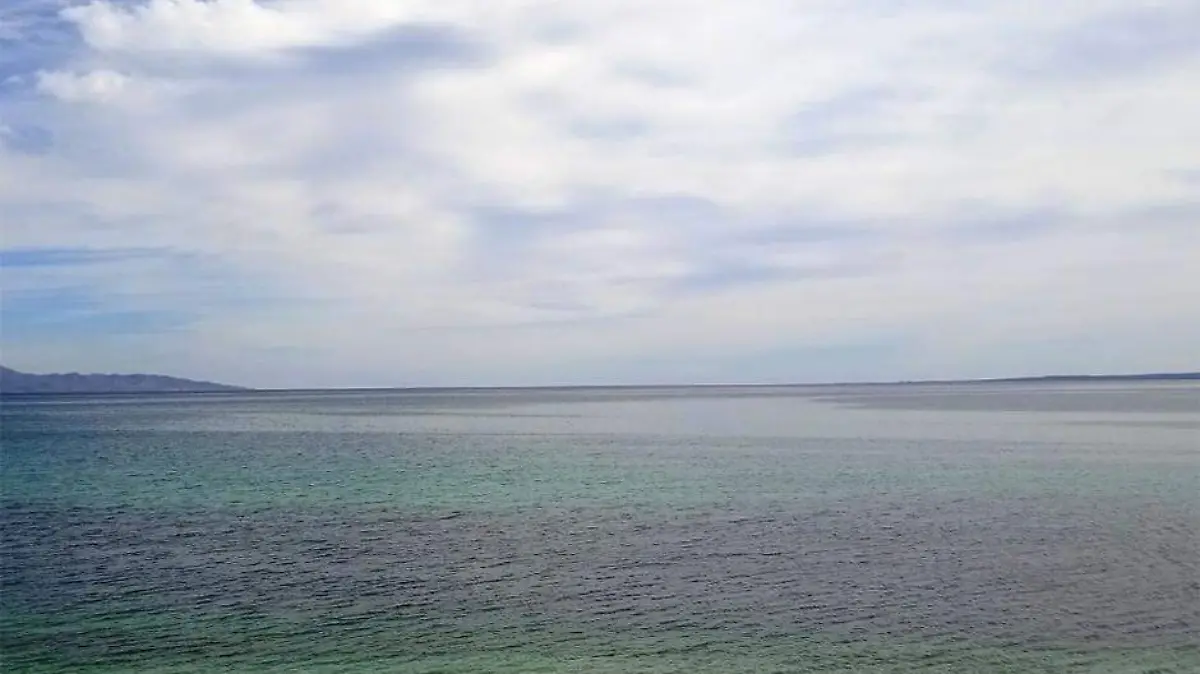 Gobierno Estatal impulsar acuacultura mar