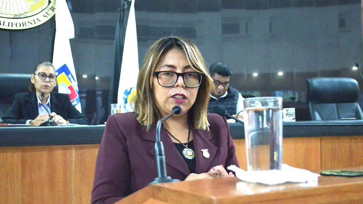 Teresita Valentin propuso reformas 