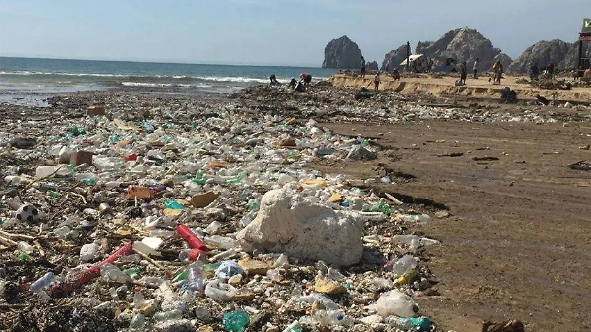 Basura playa Los Cabos 01