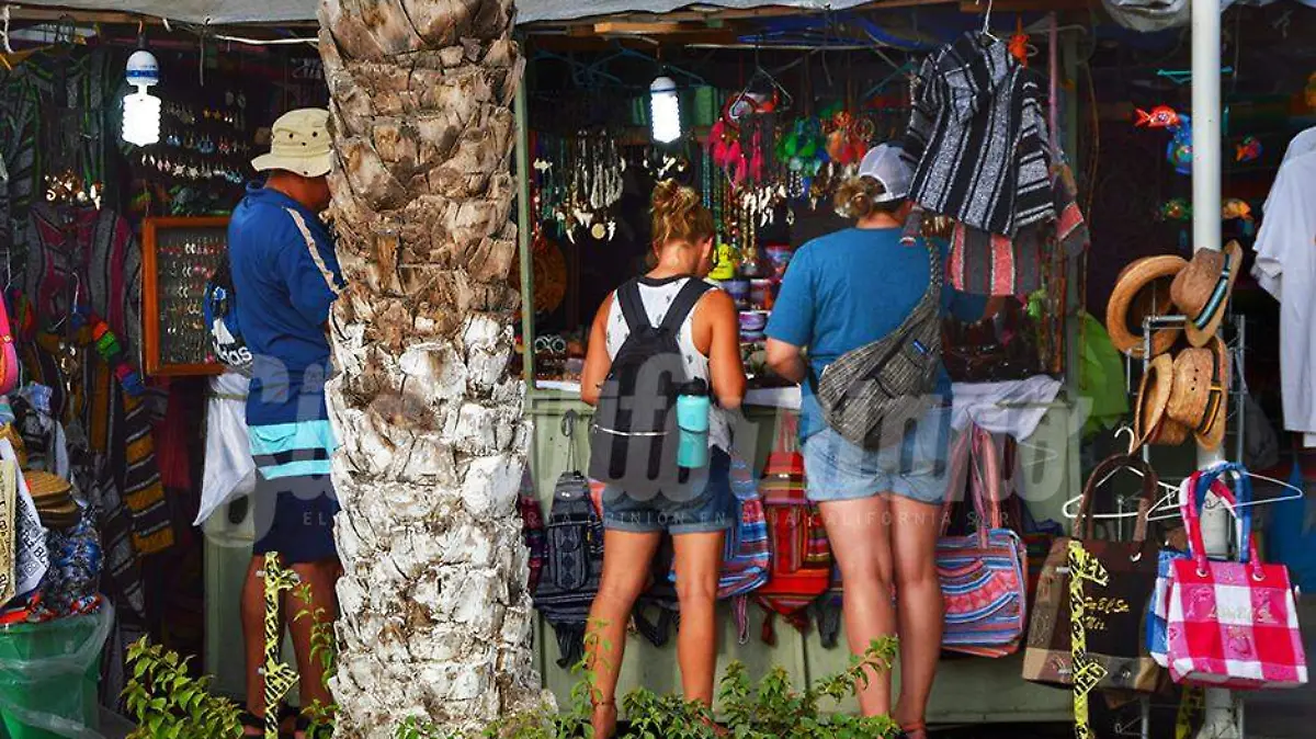 14 Dic DPR 02 Padrón de vendedores ambulantes Mayra Carrizales