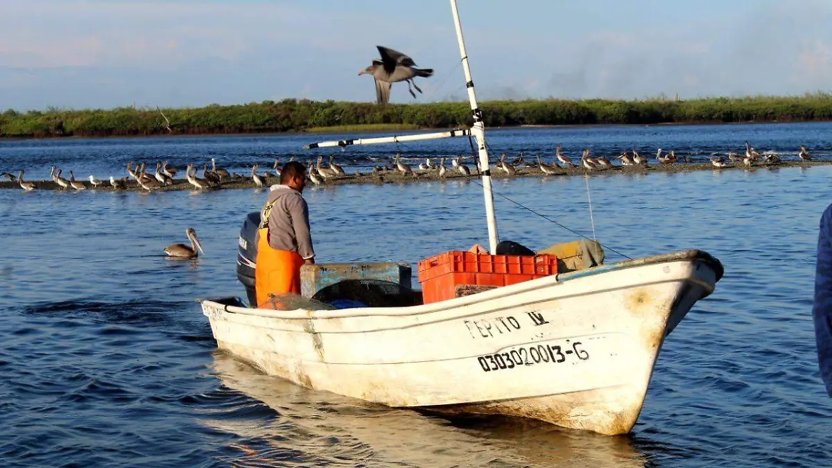 Pesca pescadores lancha panga mar