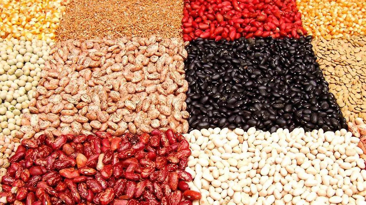 Frijoles leguminosas