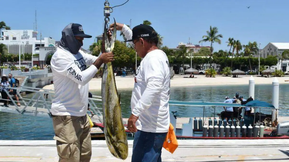 Liberación del Dorado