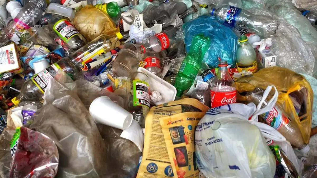 Basura 1