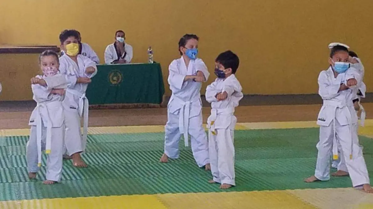 artes marciales ayudan a la formacion