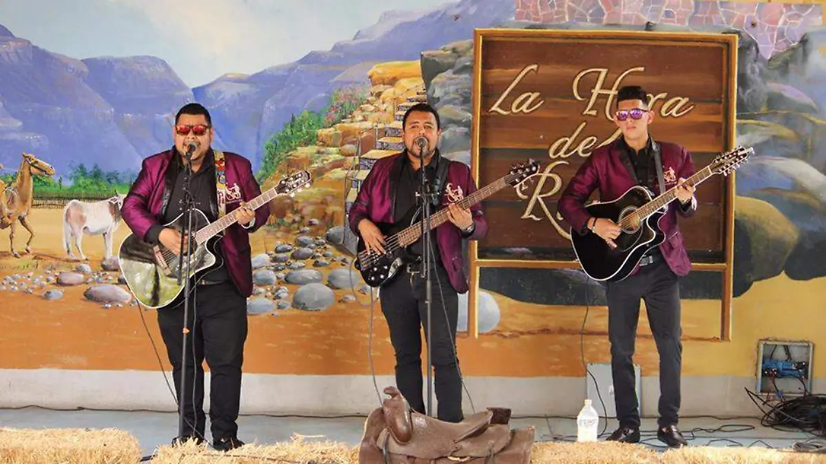 Musicos los elegantes de la baja