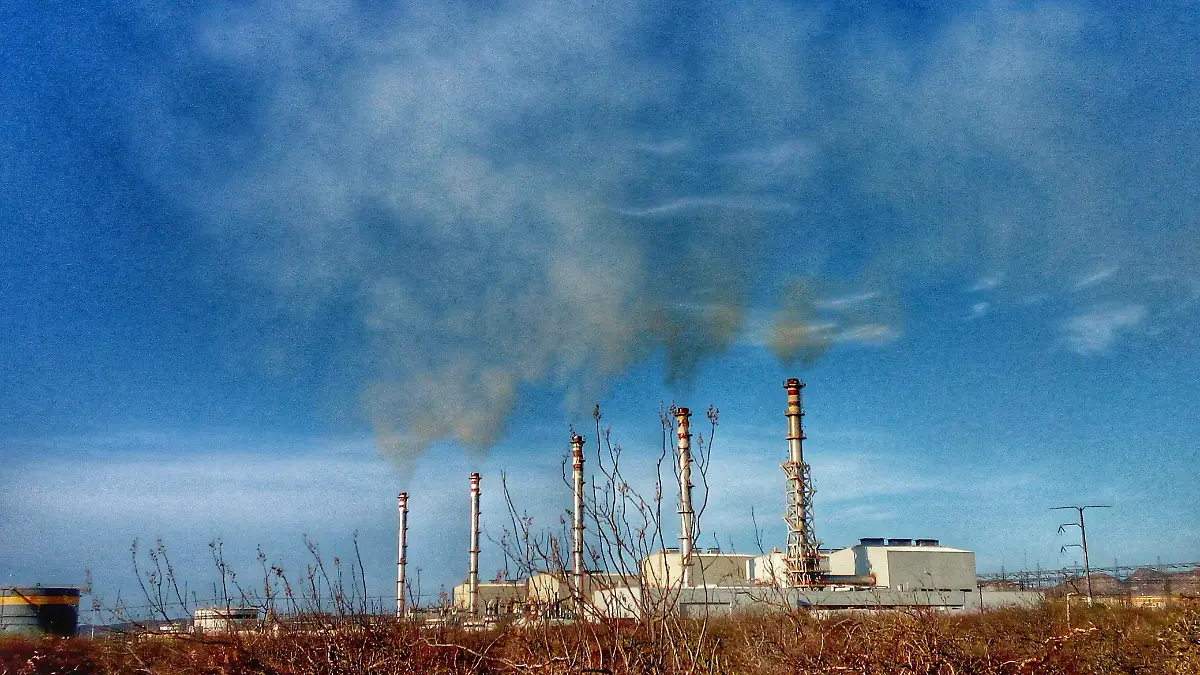 Termoeléctrica CFE Contaminación Paz