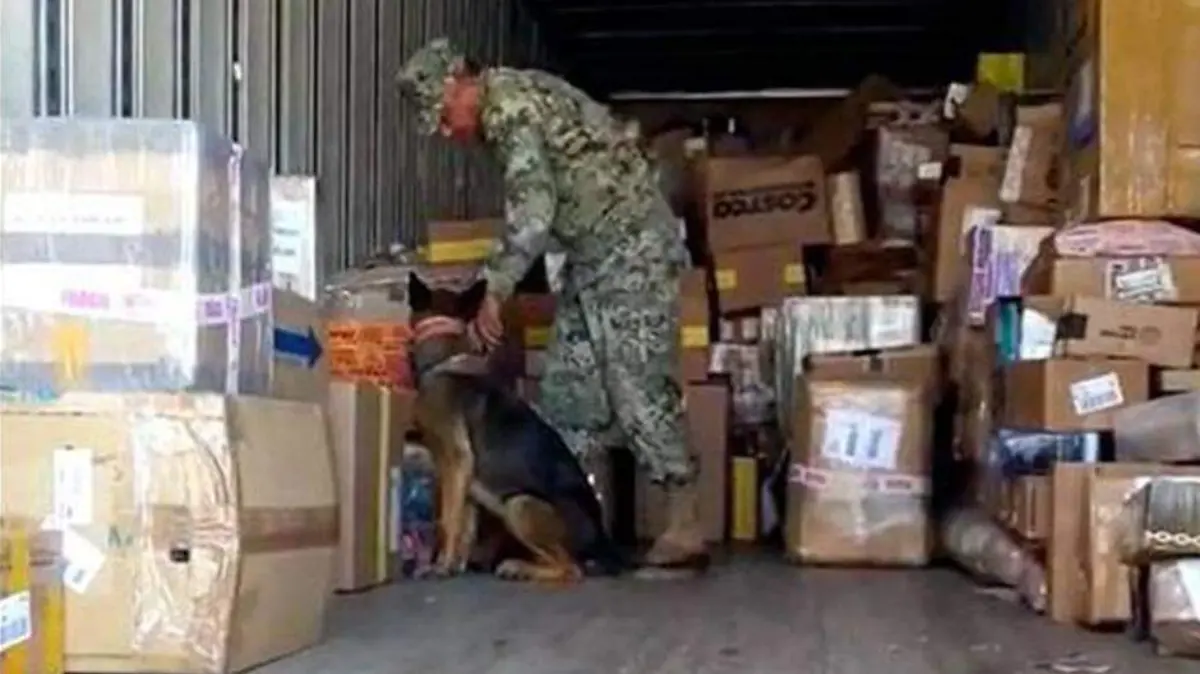 Droga en pichilingue 01