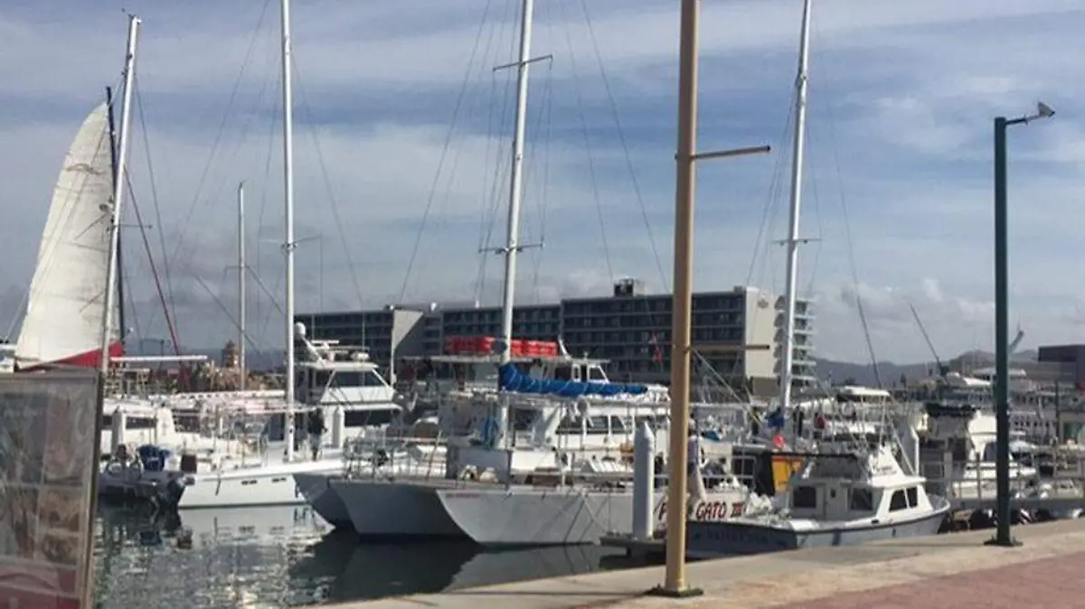 Marina muelle los cabos