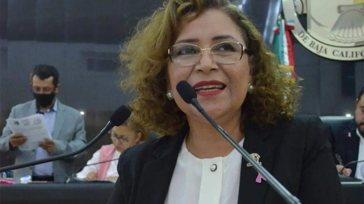 Iniciativa Violencia Vicaria