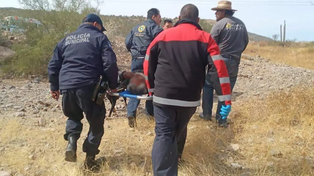 Localizan a adulto mayor extraviado Loreto