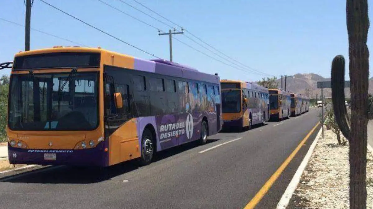 reaundan transporte los Cabos