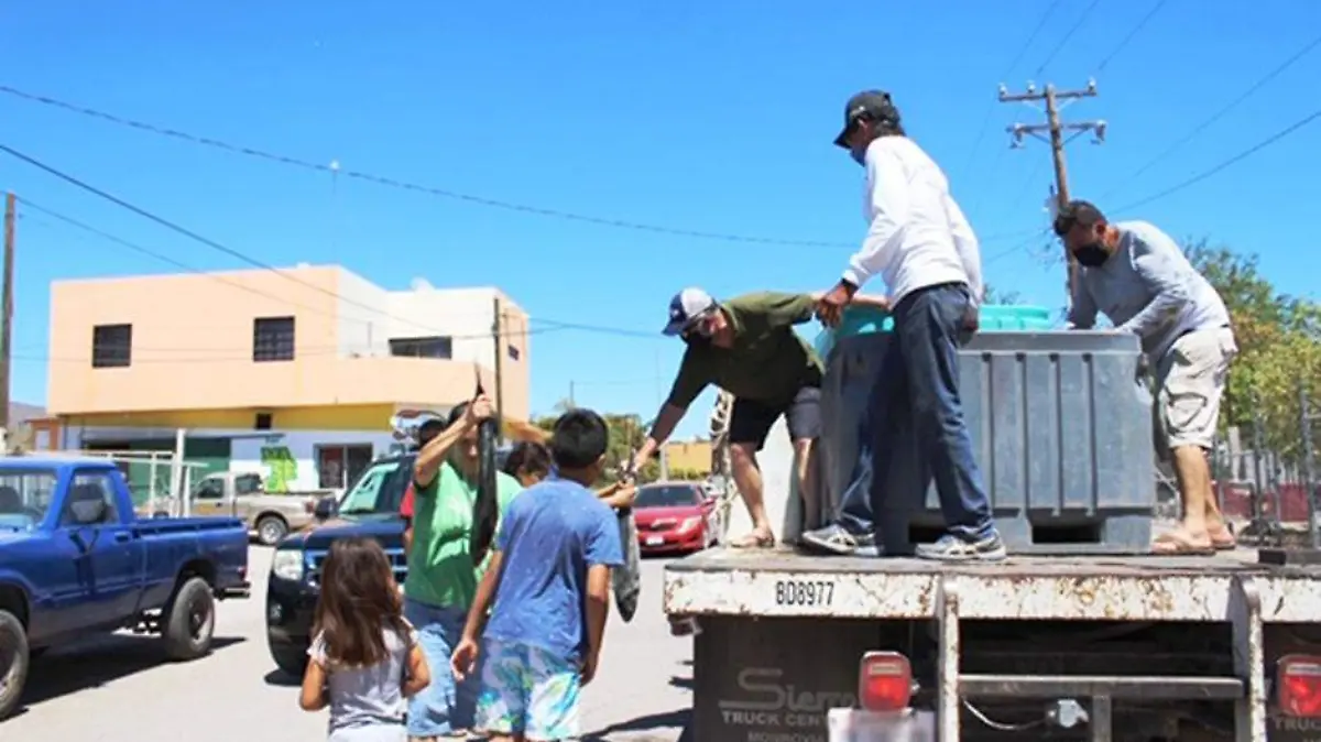 Pescadores Loreto