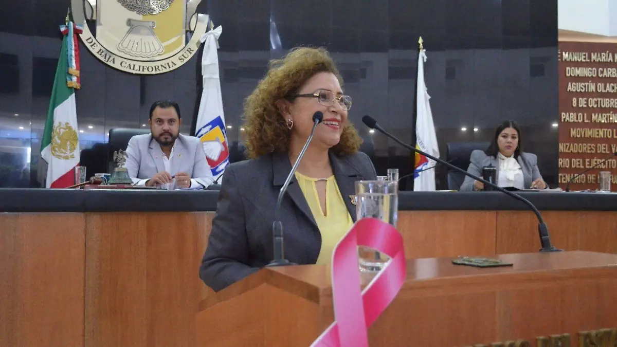 DionisiO Villarino Congreso BCS