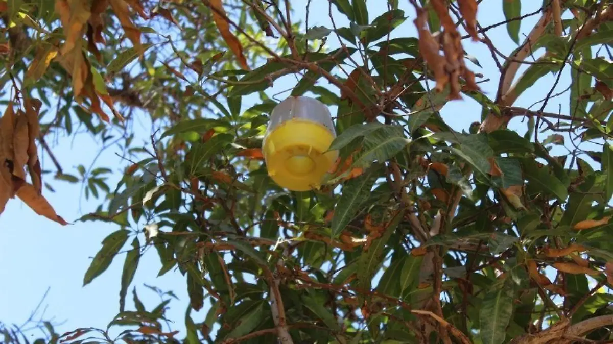 Foto (1)