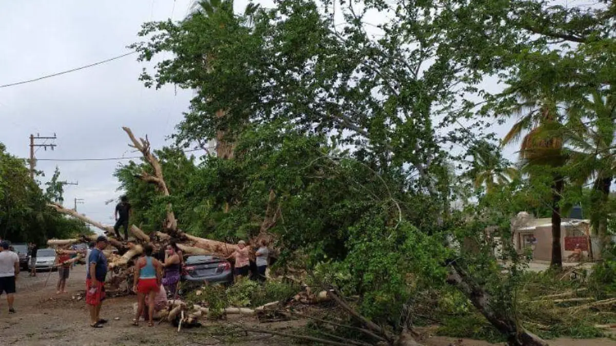 Foto - 2021-09-10T224349.114