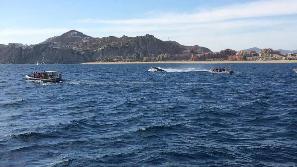 turismo lancha playa Los Cabos
