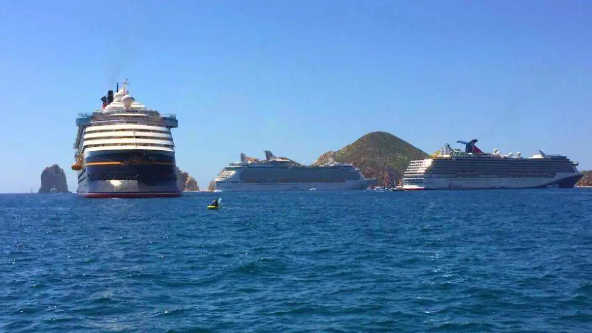Cruceros turismo los cabos