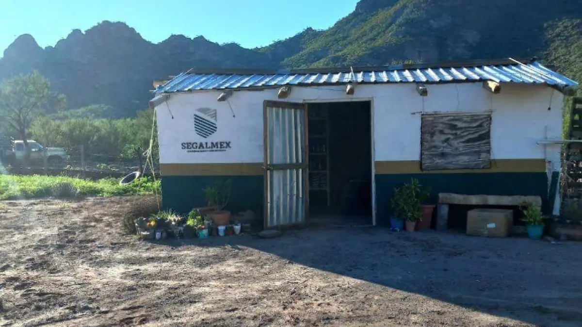Tienda segalmex diconsa