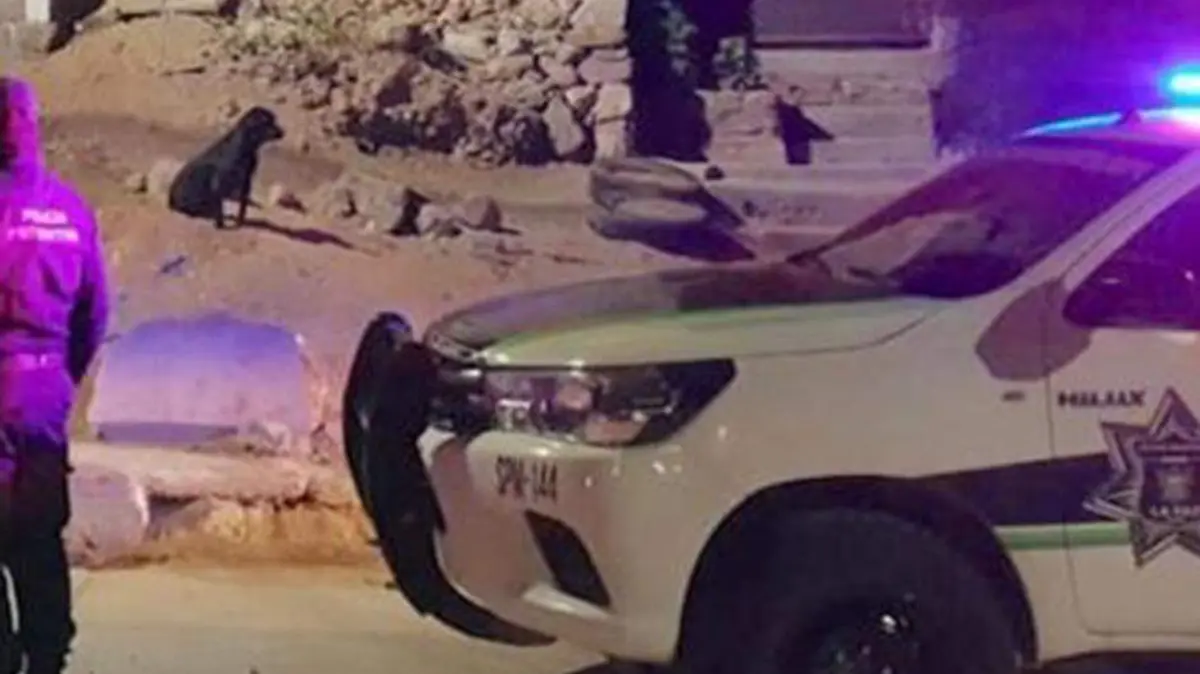 Secuestran a una mujer la paz