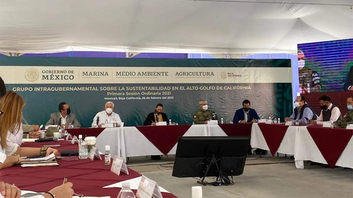 Reunion Alto Golfo de California