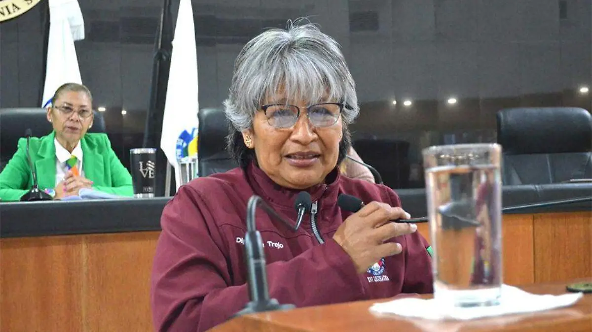 Diputada Maria Luisa Trejo Movilidad