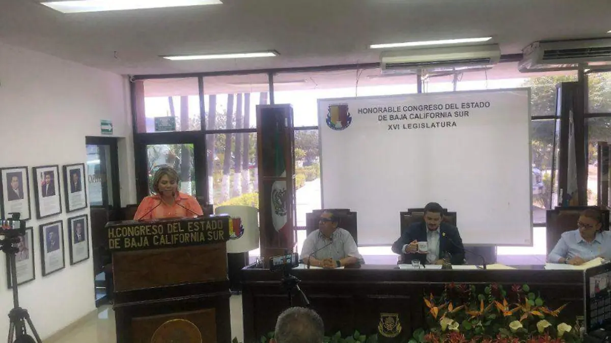 Marbella González, fideicomisos de turismo